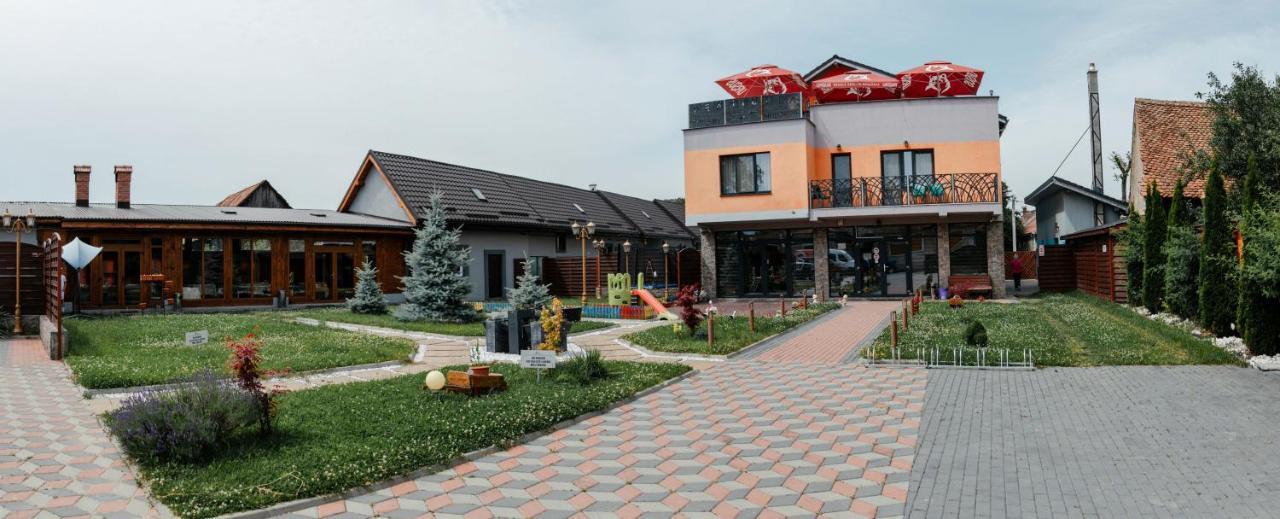 Pensiune Confort Morosanu Sinca Veche Exteriér fotografie
