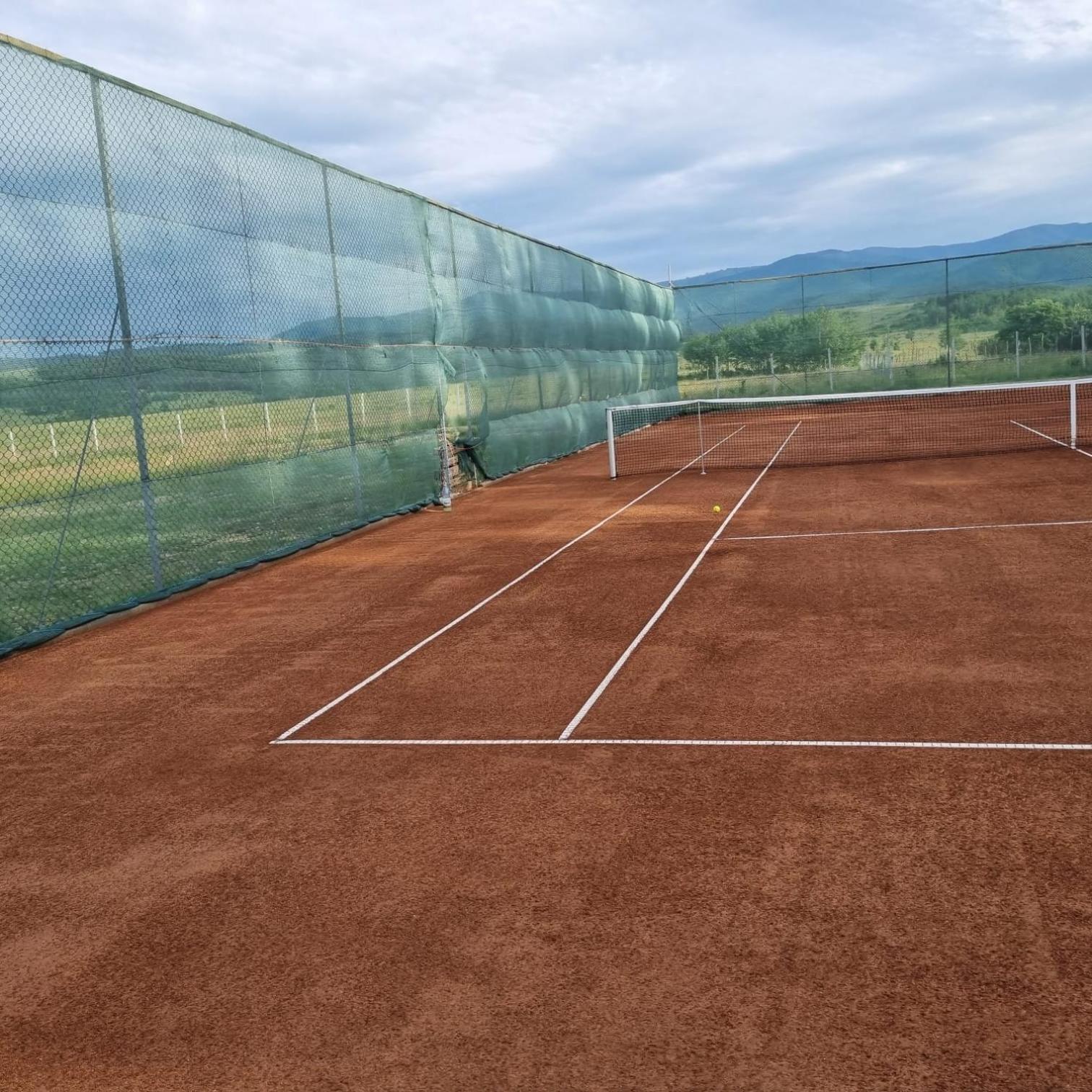 Pensiune Confort Morosanu Sinca Veche Exteriér fotografie