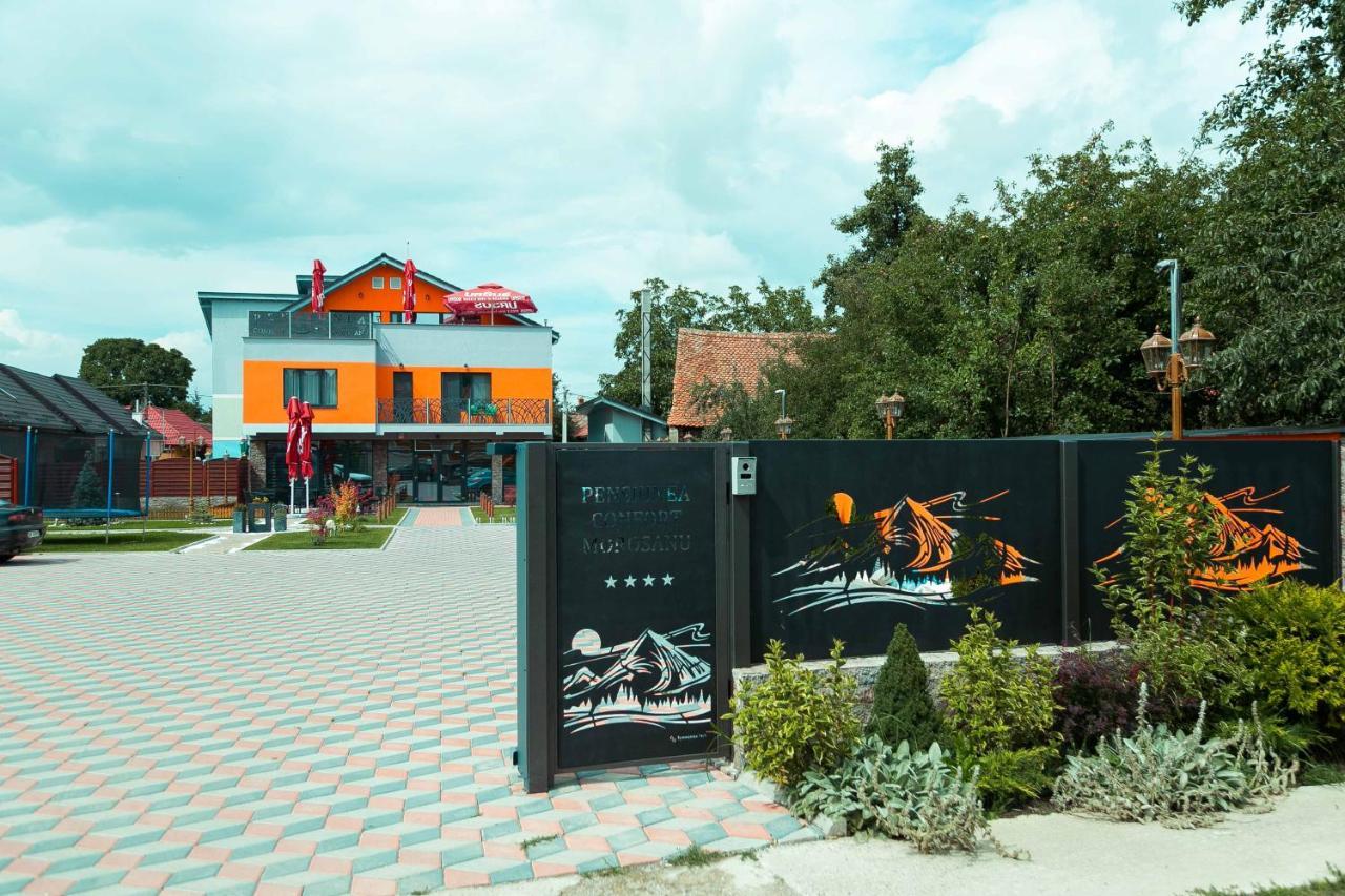 Pensiune Confort Morosanu Sinca Veche Exteriér fotografie